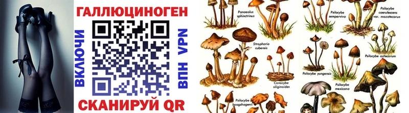 Купить где  Будённовск  Галлюциногенные грибы ЛСД 